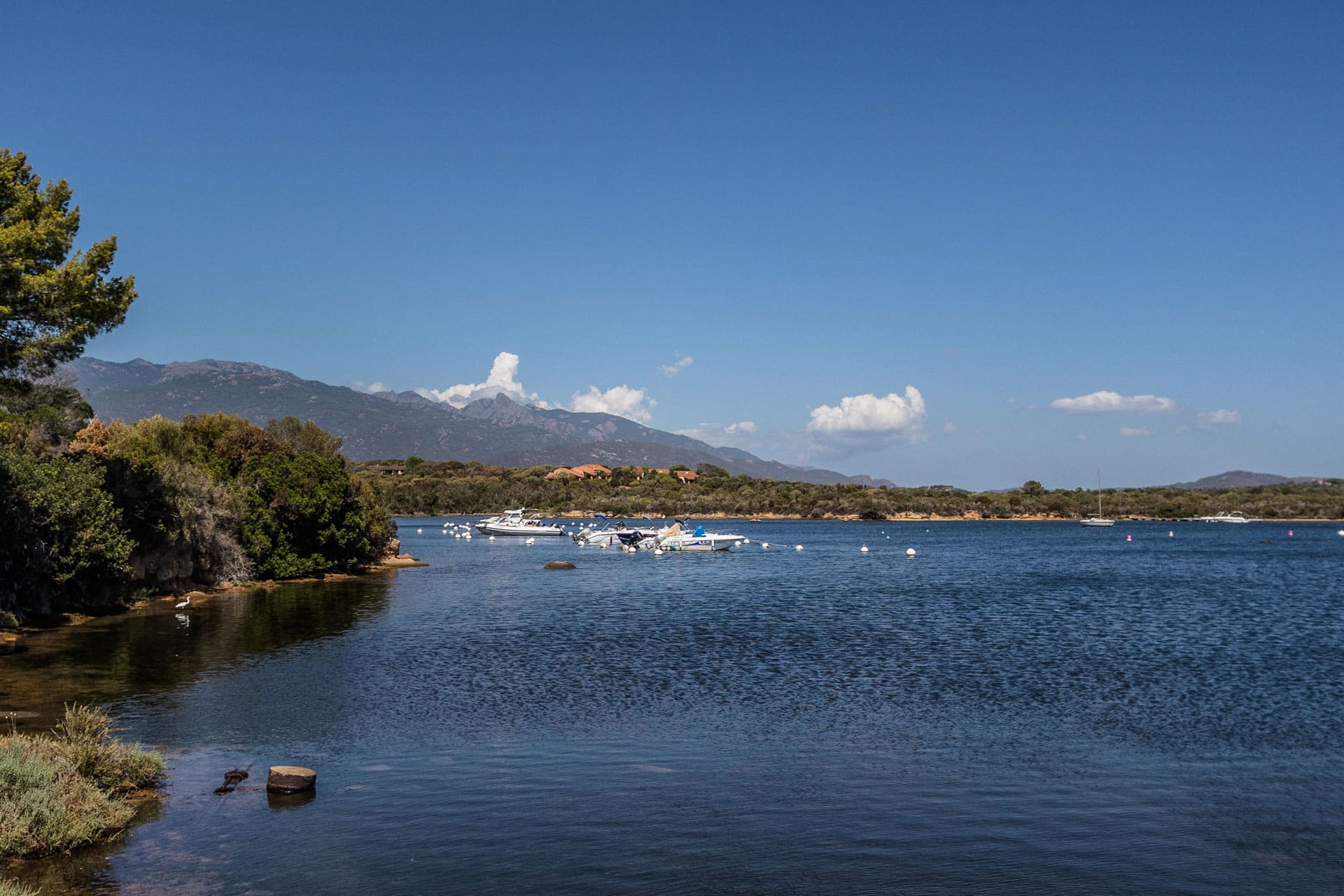 campign pas cher figari