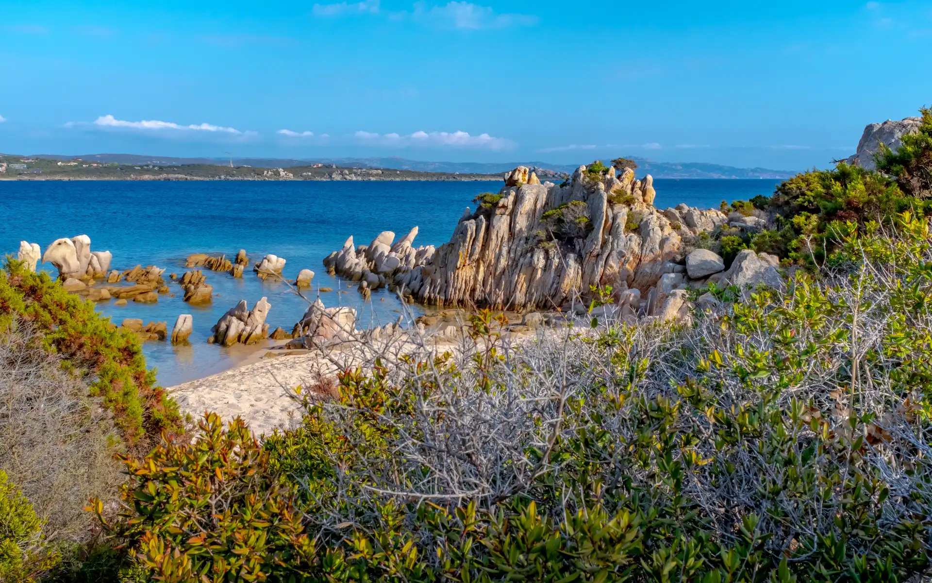Comment profiter au maximum de vos vacances entre plage, piscine et maquis ombragé en Sud Corse ?